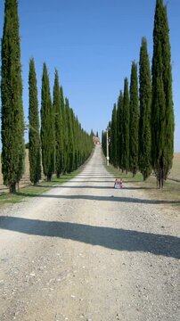 Slow motion stabilized shot - Famous cypress trees row along Tuscany road by POV of car driver driving along countryside of Italy. Cypress tree defines signature of Tuscany for tourist visiting Italy.