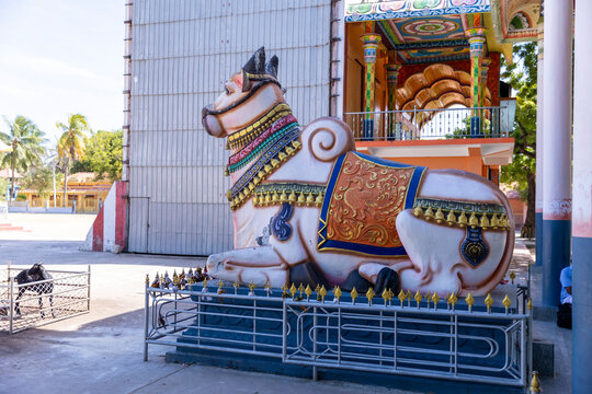 Nanthi Nagapoosani Amman Kovil, Nainativu, Jaffna, Sri Lanka 