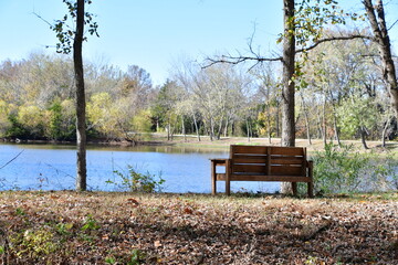 Wooden Bench by a Lake in a Park