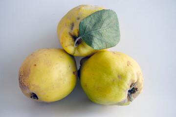 Three quince fruits, macro, isolated on background.