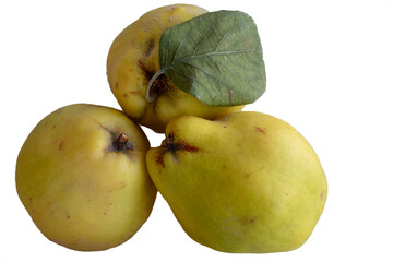 Three quince fruits, macro, isolated on background.