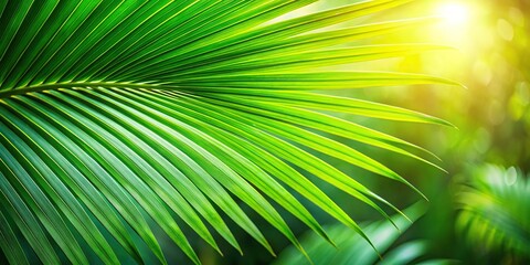 Fototapeta premium Medium shot image of lush tropical palm leaves in a vibrant green natural background