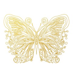 butterfly on white background