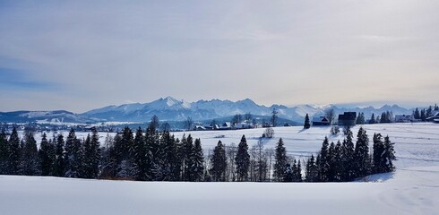 Snowy Zakopane Landscape with Trees, Mountains, and Sky © Sebastian