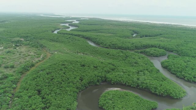 brazillian river