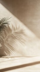 Soft Shadow of Palm Leaf on Textured Wall