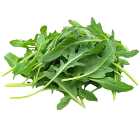 Fresh arugula leaves stacked on a white background
