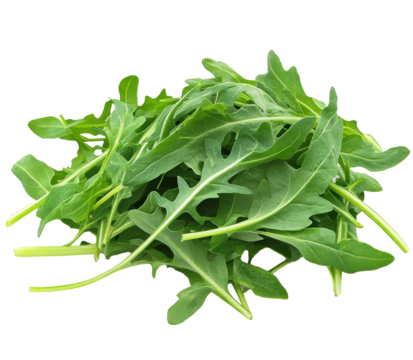 Fresh arugula leaves stacked on a white background