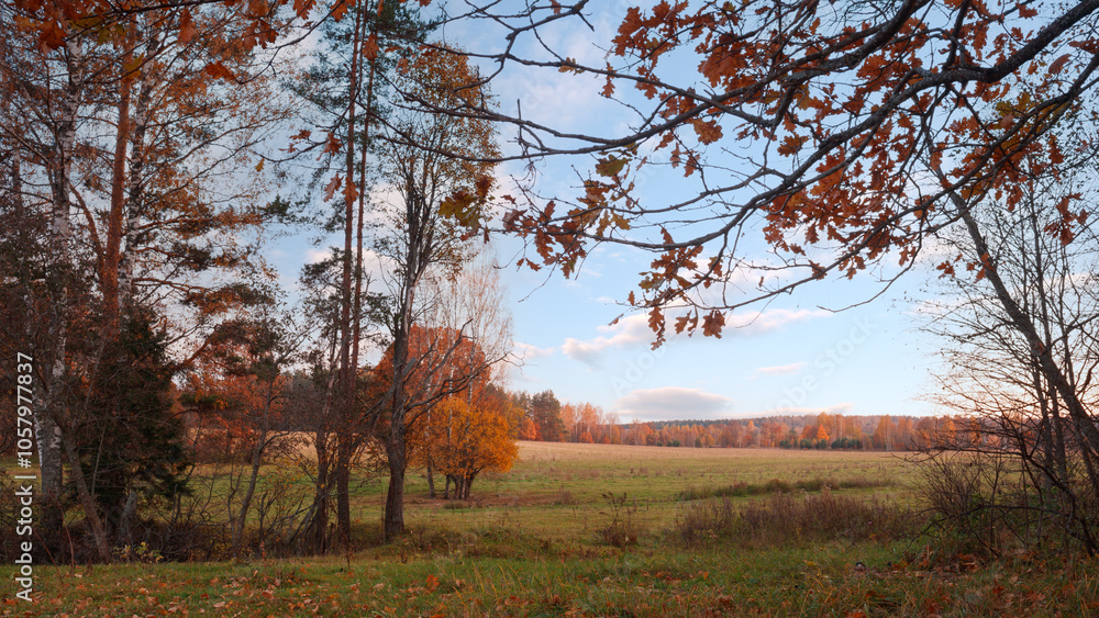 Aufkleber a autumn field of grass with trees in the background. the trees are full of leaves and the sky is bl