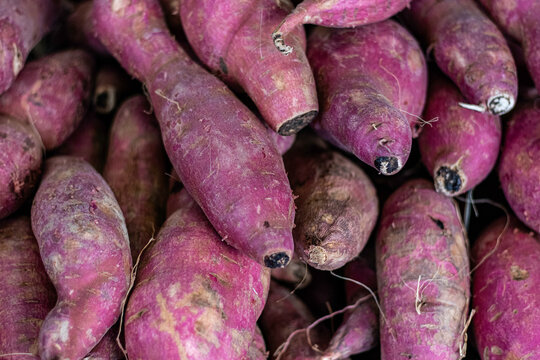 Batata-doce, tamb&eacute;m chamada batata-da-terra, batata-da-ilha, jatica e jetica.