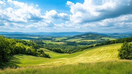 Fototapeta premium Scenic overlook with panoramic views of rolling hills and valleys