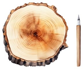 PNG Plant wood tree deforestation.