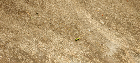 texture mosaic pattern plate metal brick tile stone rock earth sand wood marble granite detail plant tree leaf vegetation staircase city urban entrance palace sculpture grille door window pilaster