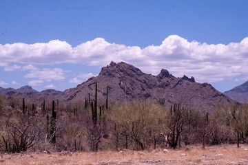 Baja California Mexico