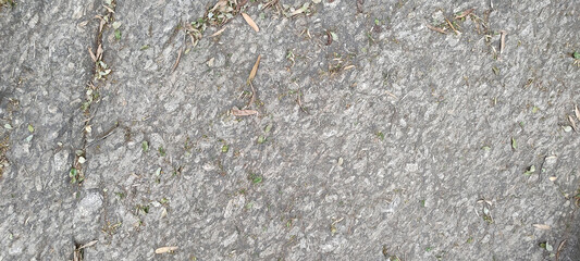 texture mosaic pattern plate metal brick tile stone rock earth sand wood marble granite detail plant tree leaf vegetation staircase city urban entrance palace sculpture grille door window pilaster