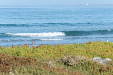 Pacific Coast in Baja California Mexico