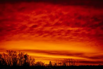 Fototapete Rot Vibrant, dramatic sunset with deep red, orange, and purple hues filling the sky, silhouetted by tree outlines. The gradient sky creates a striking and moody atmosphere.  © Emvats