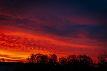 Vibrant, dramatic sunset with deep red, orange, and purple hues filling the sky, silhouetted by tree outlines. The gradient sky creates a striking and moody atmosphere.