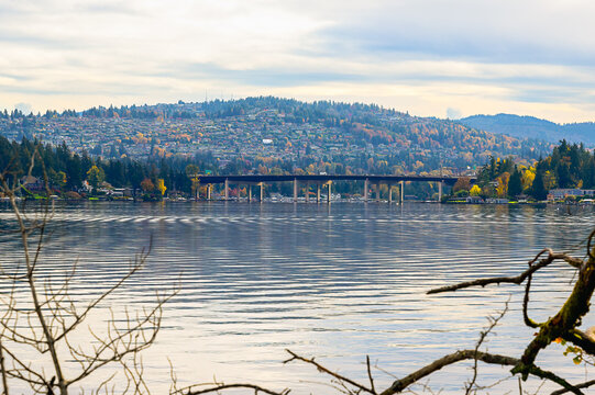 2024-1031 A FRAMED VIEW OF THE FACTORIA HILL WITH THE SUMMERSET NEIGHBORHOOD AND THE EAST CHANNELL BRIDGE FROM MERCER ISLAND WASHINGTON