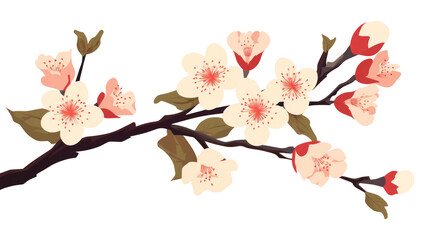 PNG Cherry blossom flower plant inflorescence.