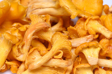 A vibrant gathering of fresh chanterelle mushrooms ready for culinary inspiration in a rustic kitchen