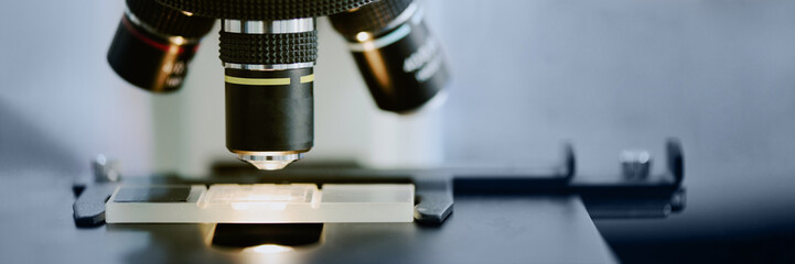 Close-up of a laboratory sample being examined under a microscope for scientific research. The...