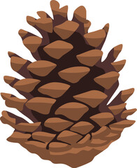 Illustration of a pine cone isolated on a white background