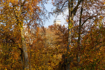 Colorful autumn Landscape in Bohemian Paradise, Czech Republic 