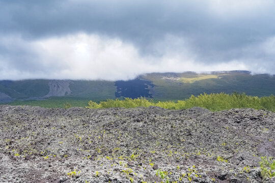 La Reunion island, landscape at Sainte-Rose with solidified lava flow, route des laves
