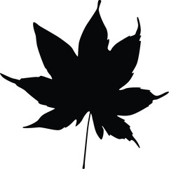 A black silhouette of a leaf from a tree