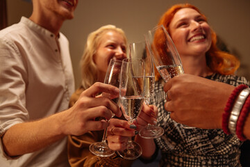 Group of happy friends doing a toast during a house Christmas party