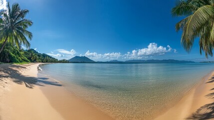 Fototapeta premium Serene Tropical Beach with Clear Water and Lush Palm Trees