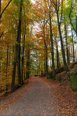Colorful autumn Landscape in Bohemian Paradise, Czech Republic 