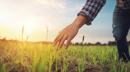 A hand gently touching green grass in a sunlit field, representing nature, growth, and the beauty of agriculture.