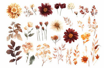 Autumnal Watercolor Floral Collection 