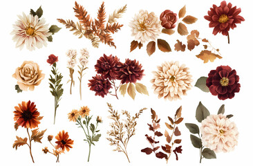 Autumnal Floral Collection: A captivating array of delicate, hand-painted florals in rich autumnal hues, including burgundy, cream, and rust. Perfect for crafting, design projects.