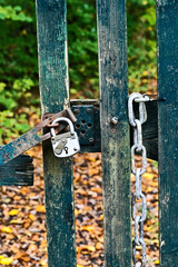 Fence secured with a lock in a private autumn forest.