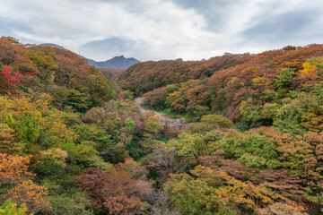 栃木県　那須岳周辺の紅葉風景
