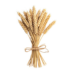 Wheat bundle, white isolate background