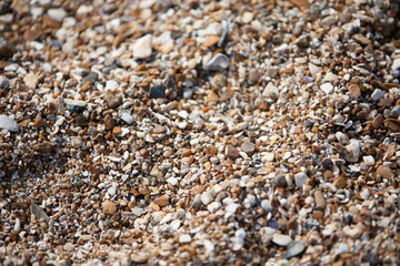 pebbles on the beach