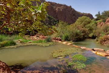 Cascade d'Ouzoud Maroc Marrakech 