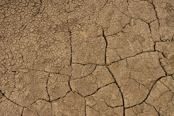 soil in a geothermal area