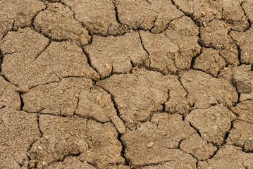 soil in a geothermal area