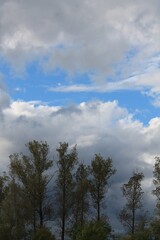 Fototapeta premium clouds in the forest