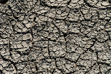 Námaskarð earns its notoriety chiefly because of its sulphurous mud springs called solfataras and steam springs called fumaroles. 