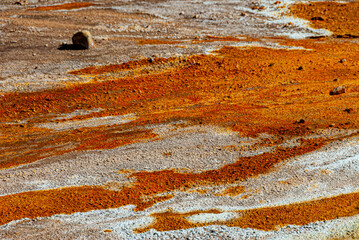 Námaskarð earns its notoriety chiefly because of its sulphurous mud springs called solfataras and steam springs called fumaroles. 