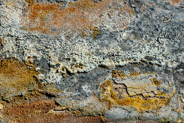 Námaskarð earns its notoriety chiefly because of its sulphurous mud springs called solfataras and steam springs called fumaroles. 