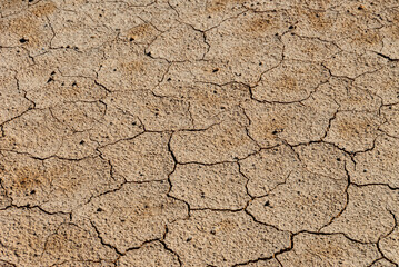Námaskarð earns its notoriety chiefly because of its sulphurous mud springs called solfataras and steam springs called fumaroles. 