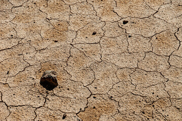N&aacute;maskar&eth; earns its notoriety chiefly because of its sulphurous mud springs called solfataras and steam springs called fumaroles. 