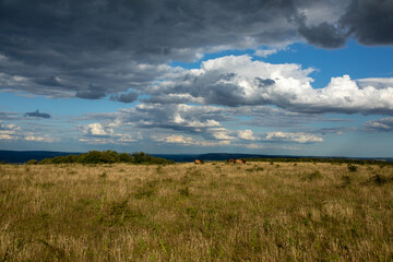 clouds over the field